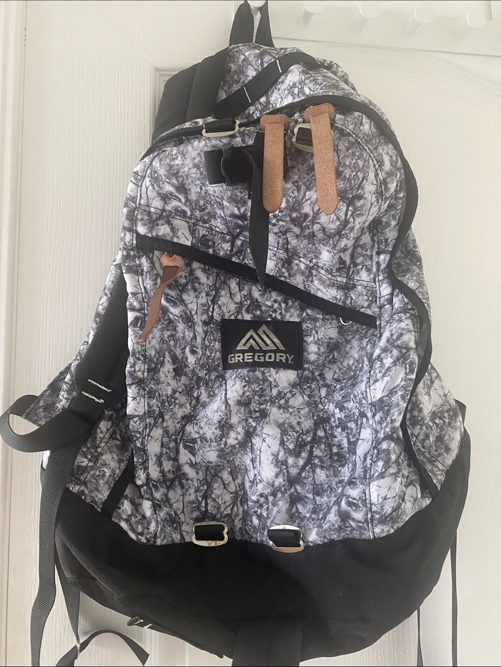 Gregory Daypack